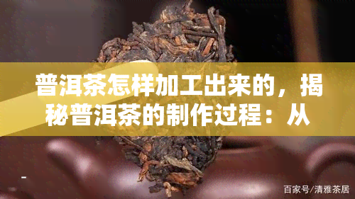 普洱茶怎样加工出来的，揭秘普洱茶的制作过程：从采摘到烘焙的全过程解析