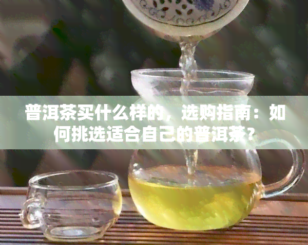 普洱茶买什么样的，选购指南：如何挑选适合自己的普洱茶？