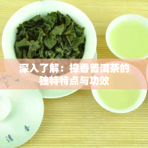 深入了解：樟香普洱茶的独特特点与功效