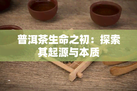 普洱茶生命之初：探索其起源与本质