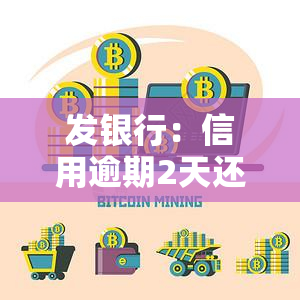 发银行：信用逾期2天还款收20元手续费及消费利息？