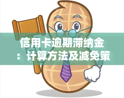 信用卡逾期滞纳金：计算方法及减免策略