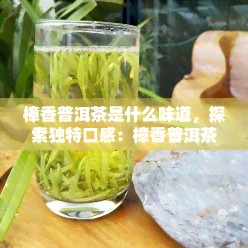 樟香普洱茶是什么味道，探索独特口感：樟香普洱茶的味道解析