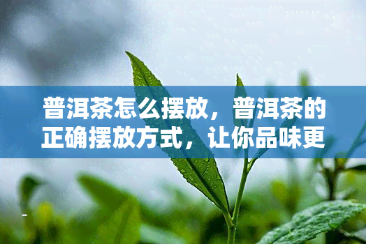 普洱茶怎么摆放，普洱茶的正确摆放方式，让你品味更好的茶香！