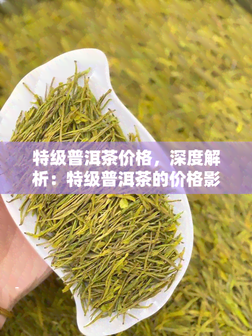 特级普洱茶价格，深度解析：特级普洱茶的价格影响因素与市场行情