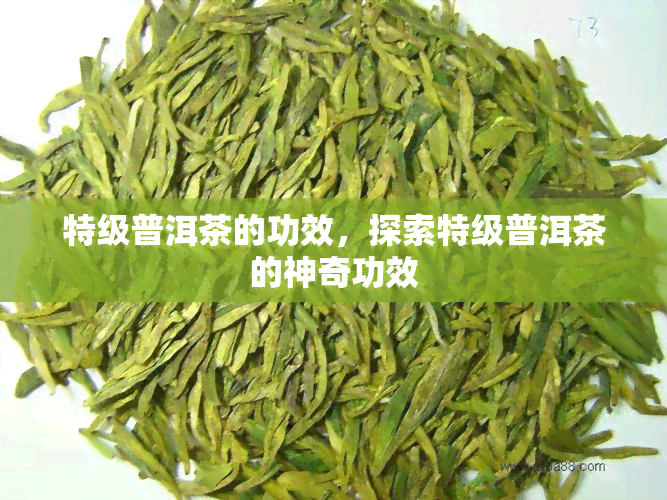 特级普洱茶的功效，探索特级普洱茶的神奇功效