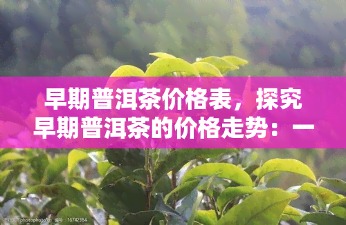 早期普洱茶价格表，探究早期普洱茶的价格走势：一份详细的价格表解析