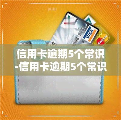 信用卡逾期5个常识-信用卡逾期5个常识是什么