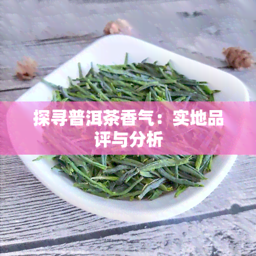 探寻普洱茶香气：实地品评与分析