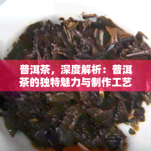 普洱茶，深度解析：普洱茶的独特魅力与制作工艺