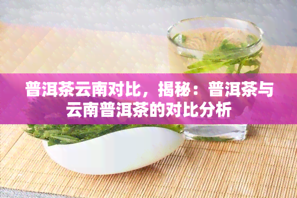 普洱茶云南对比，揭秘：普洱茶与云南普洱茶的对比分析