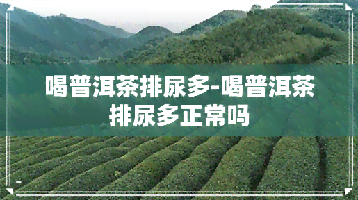 喝普洱茶排尿多-喝普洱茶排尿多正常吗