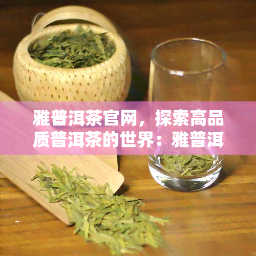 雅普洱茶官网，探索高品质普洱茶的世界：雅普洱茶官网