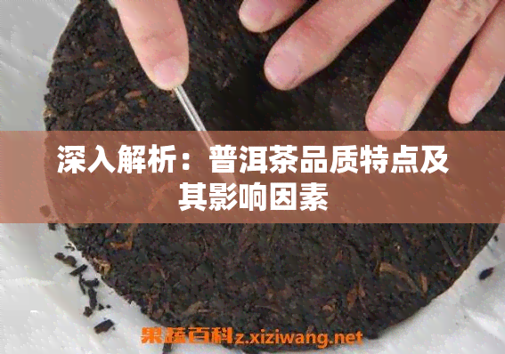 深入解析：普洱茶品质特点及其影响因素