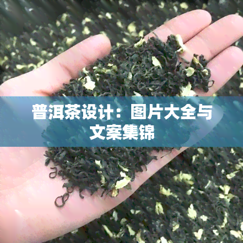 普洱茶设计：图片大全与文案集锦