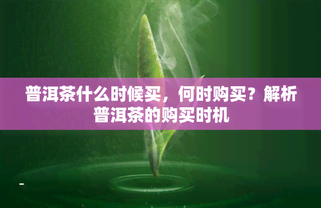 普洱茶什么时候买，何时购买？解析普洱茶的购买时机