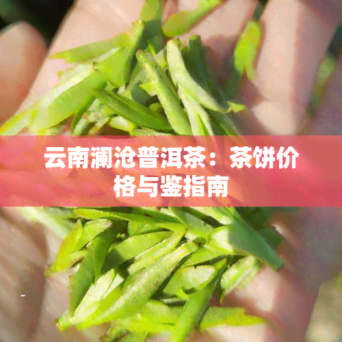 云南澜沧普洱茶：茶饼价格与鉴指南