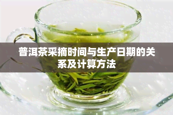 普洱茶采摘时间与生产日期的关系及计算方法