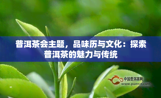 普洱茶会主题，品味历与文化：探索普洱茶的魅力与传统