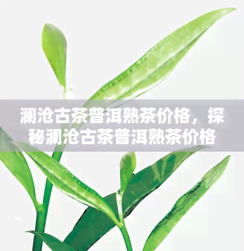 澜沧古茶普洱熟茶价格，探秘澜沧古茶普洱熟茶价格：一份茶叶的多重价值