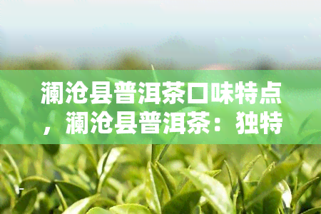 澜沧县普洱茶口味特点，澜沧县普洱茶：独特的口味特点与品鉴方法