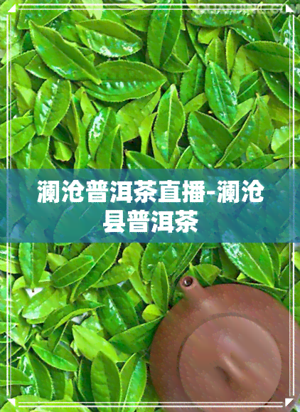 澜沧普洱茶直播-澜沧县普洱茶