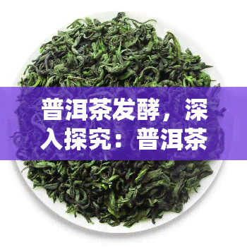 普洱茶发酵，深入探究：普洱茶发酵的奥秘与制作工艺