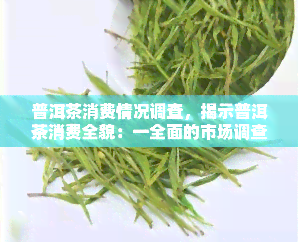 普洱茶消费情况调查，揭示普洱茶消费全貌：一全面的市场调查报告