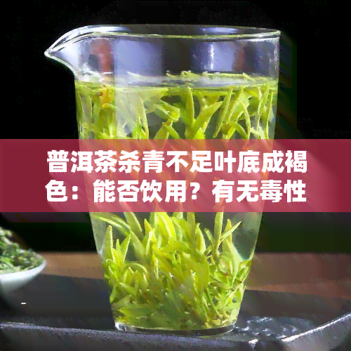 普洱茶杀青不足叶底成褐色：能否饮用？有无性？原因解析