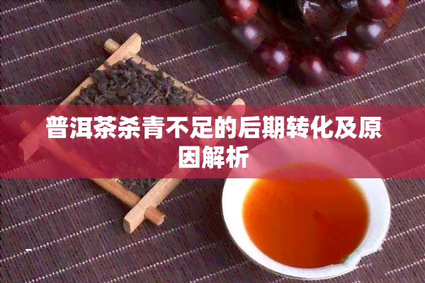 普洱茶杀青不足的后期转化及原因解析