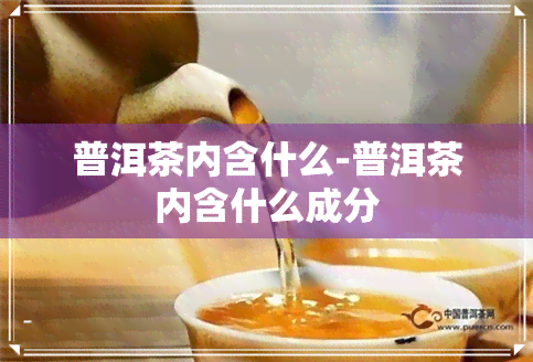 普洱茶内含什么-普洱茶内含什么成分