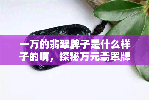 一万的翡翠牌子是什么样子的啊，探秘万元翡翠牌子：究竟长什么样子？