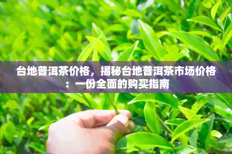 台地普洱茶价格，揭秘台地普洱茶市场价格：一份全面的购买指南