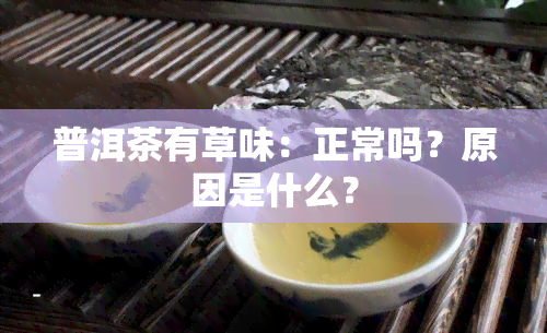 普洱茶有草味：正常吗？原因是什么？