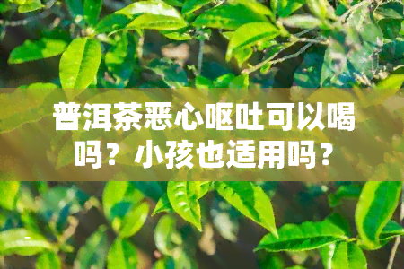 普洱茶恶心呕吐可以喝吗？小孩也适用吗？