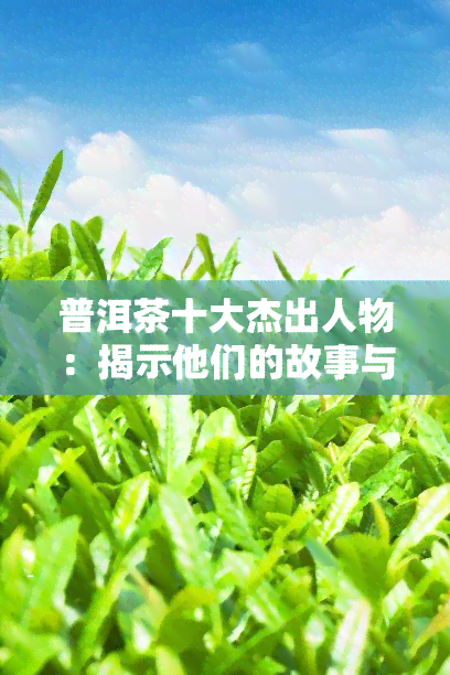 普洱茶十大杰出人物：揭示他们的故事与成就