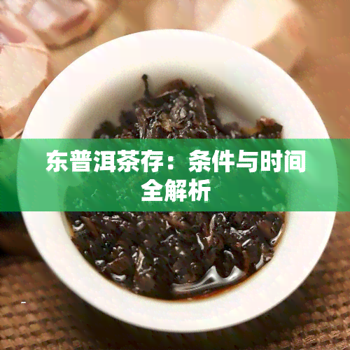 东普洱茶存：条件与时间全解析