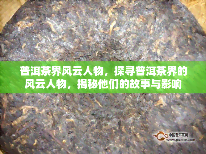 普洱茶界风云人物，探寻普洱茶界的风云人物，揭秘他们的故事与影响