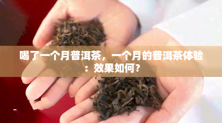 喝了一个月普洱茶，一个月的普洱茶体验：效果如何？