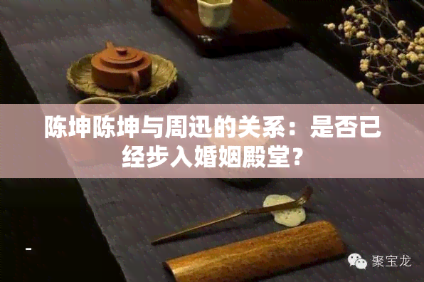 陈坤陈坤与周迅的关系：是否已经步入婚姻殿堂？