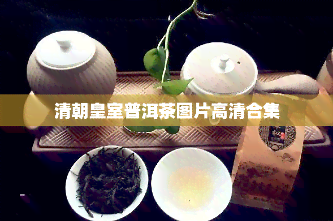 清朝皇室普洱茶图片高清合集