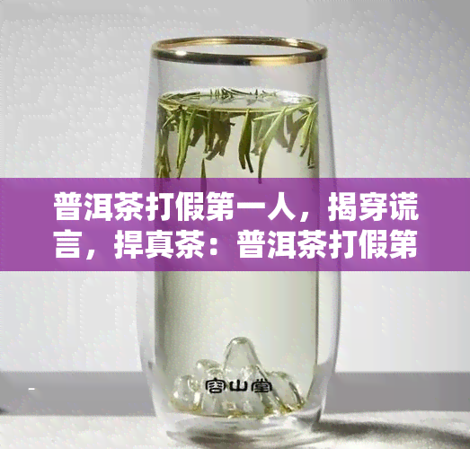 普洱茶打假之一人，揭穿谎言，捍真茶：普洱茶打假之一人的故事