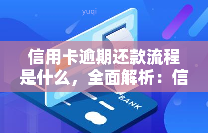 信用卡逾期还款流程是什么，全面解析：信用卡逾期还款的详细流程