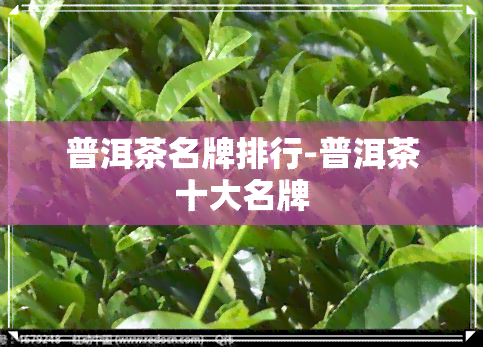 普洱茶名牌排行-普洱茶十大名牌