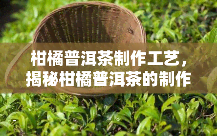 柑橘普洱茶制作工艺，揭秘柑橘普洱茶的制作工艺：从原料到成品的全过程解析