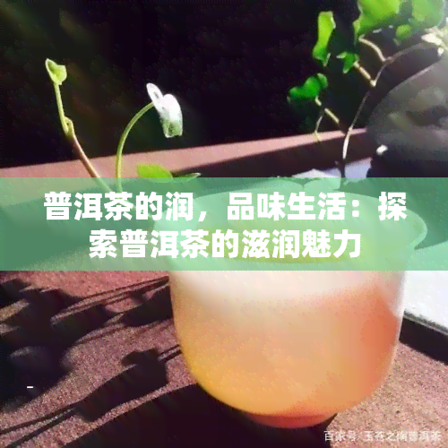 普洱茶的润，品味生活：探索普洱茶的滋润魅力