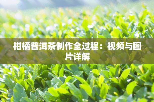 柑橘普洱茶制作全过程：视频与图片详解