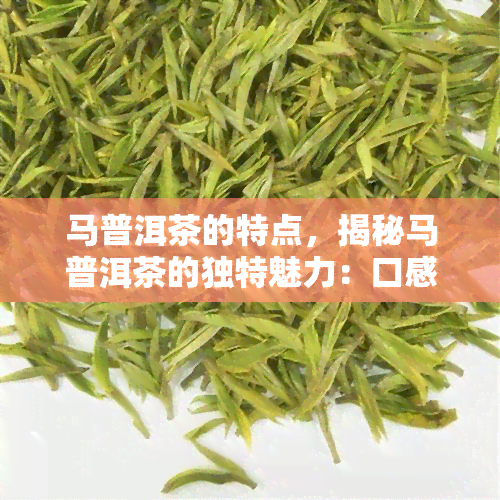 马普洱茶的特点，揭秘马普洱茶的独特魅力：口感醇厚，香气持久，回味无穷！