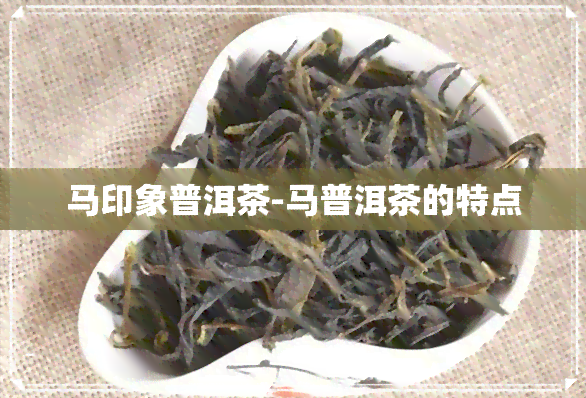 马印象普洱茶-马普洱茶的特点