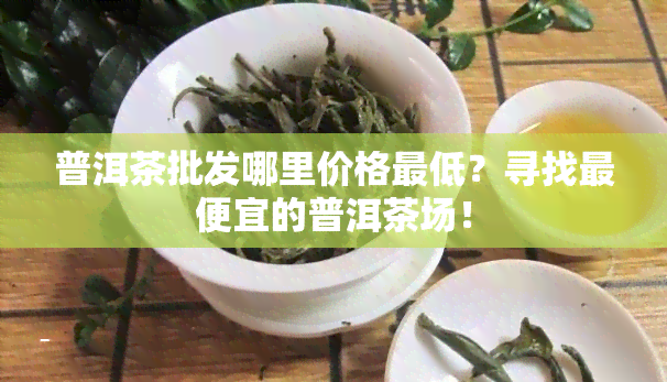 普洱茶批发哪里价格更低？寻找更便宜的普洱茶场！